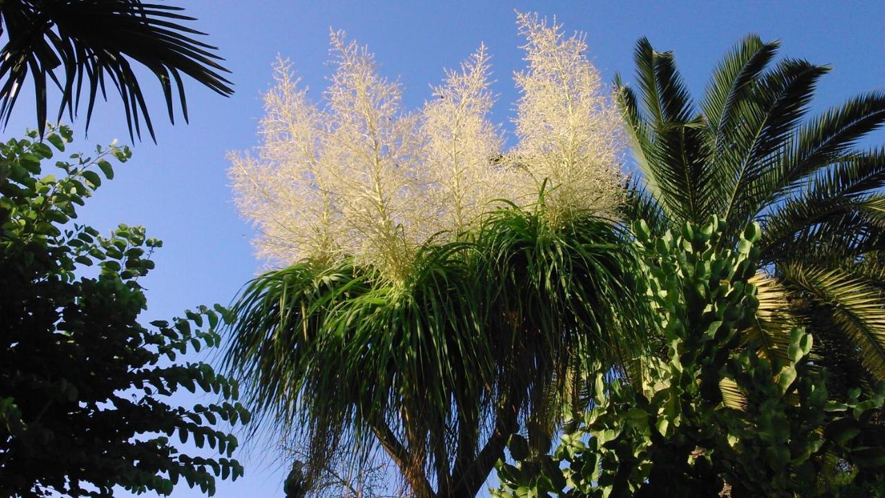 Baha-Ammes Διαμέρισμα Σβορωνάτα Εξωτερικό φωτογραφία